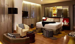 国产精品免费人成网站酒店,免费人成网站酒店，揭秘隐秘的娱乐世界